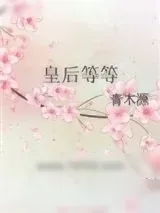 《皇后等等》小说封面