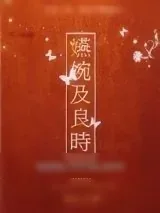 《嬿婉及良时》小说封面