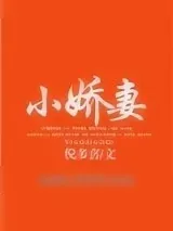 《小娇妻》小说封面