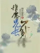 《惟愿兄长不多情》小说封面
