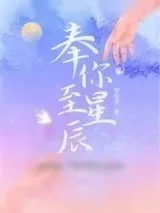 《奉你至星辰》小说封面