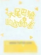 《大尾巴狼的小绵羊》小说封面
