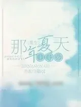 《重生十七岁那年夏天》小说封面