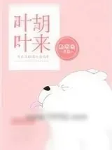 《叶叶胡来》小说封面