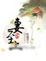 《妻至上》小说封面