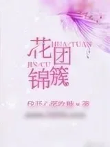 《花团锦簇》小说封面