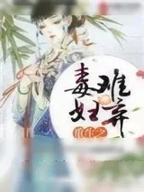 《重生之毒妇难弃》小说封面