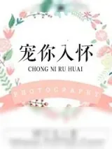 《宠你入怀》小说封面