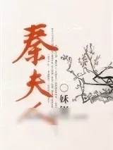 《秦夫人》小说封面