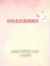 《封先生总是很美丽》小说封面