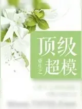 《重生之顶级超模》小说封面