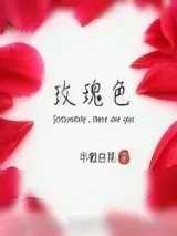 《玫瑰色》小说封面