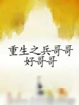 《重生之兵哥哥好哥哥》小说封面