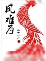 《凤难为》小说封面