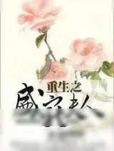 《重生之盛宠夫人》小说封面