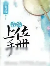 《后宫上位手册》小说封面