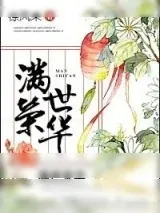 《满世荣华》小说封面