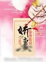 《娇妻养成札记》小说封面