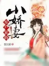 《军户家的小娇妻》小说封面