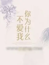 《[快穿]你为什么不爱我》小说封面