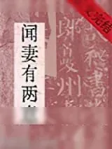 《闻妻有两意》小说封面