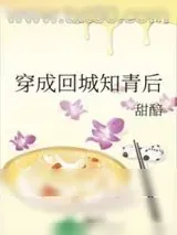 《穿成回城知青后》小说封面