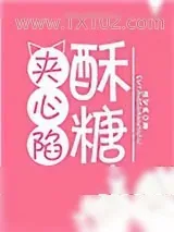 《酥糖夹心陷》小说封面