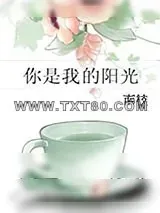 《你是我的阳光》小说封面