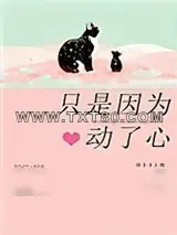 《只是因为动了心》小说封面