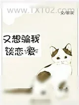 《又想骗我谈恋爱》小说封面