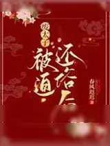 《废太子被迫还俗后》小说封面