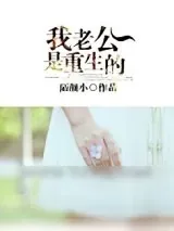 《我老公是重生的》小说封面