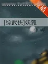 《[综武侠]妖狐》小说封面