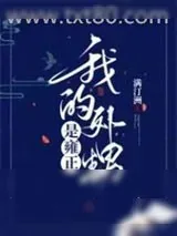 《我的外甥是雍正》小说封面