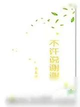 《不许说谢谢》小说封面