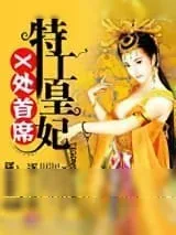 《X处首席特工皇妃》小说封面