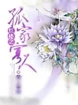 《（红楼同人）红楼之孤家寡人》小说封面