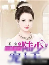《闪婚契约：陆少宠妻上天》小说封面