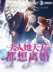 《夫人她天天都想离婚》小说封面