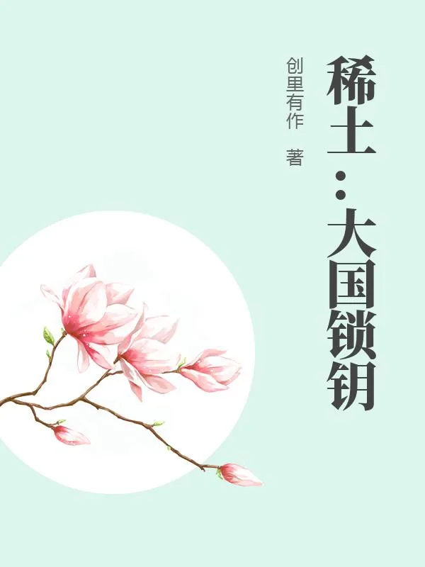 《稀土：大国锁钥》小说封面