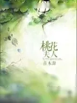 《桃花夫人》小说封面