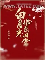 《白月光佛系日常》小说封面