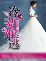 《暖婚有瘾之冷妻难逃》小说封面