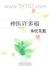《神医许多福》小说封面