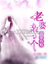 《诱柒有瘾：老婆，亲一个》小说封面