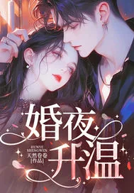 《婚夜升温》小说封面