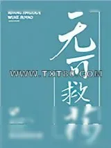 《无可救药》小说封面