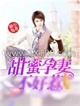 《甜蜜孕妻不好惹》小说封面
