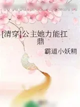 《[清穿]公主她力能扛鼎》小说封面