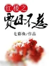 《红楼之贾母不慈》小说封面